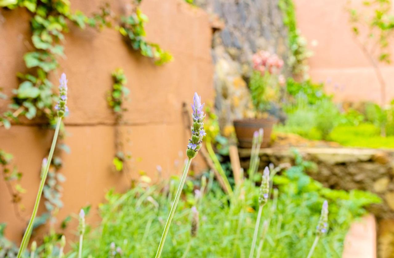 Casa Lavanda Hotel Boutique Pátzcuaro 外观 照片